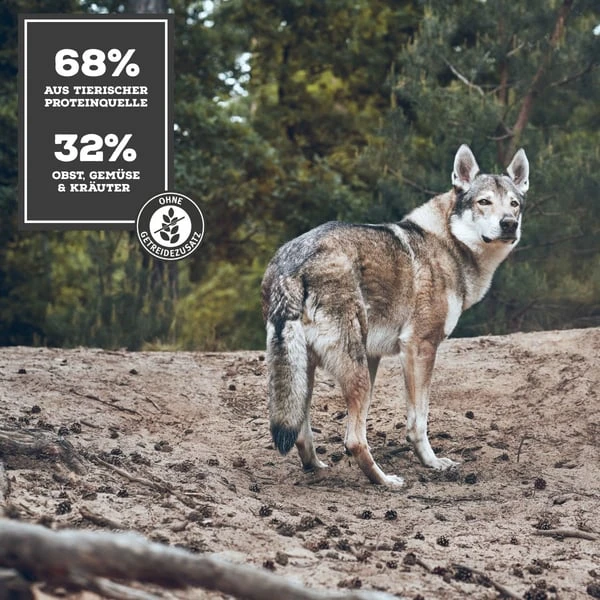 MOON Ranger Rind mit Süßkartoffeln