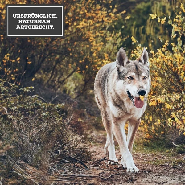 MOON Ranger Rind mit Süßkartoffeln