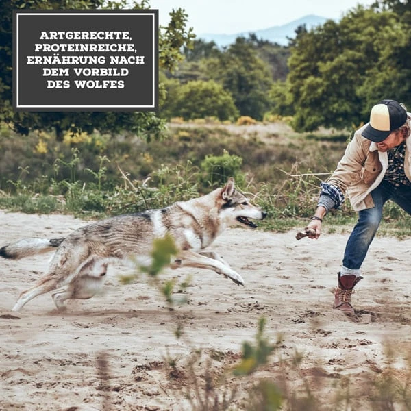 MOON Ranger Wild mit Kürbis