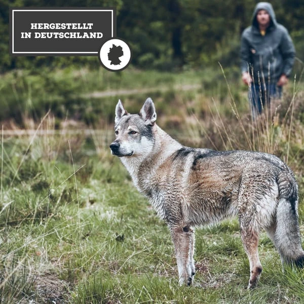 MOON Ranger Rind mit Süßkartoffeln