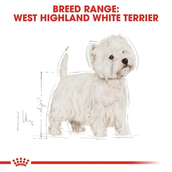 ROYAL CANIN West Highland White Terrier Adult Hundefutter trocken