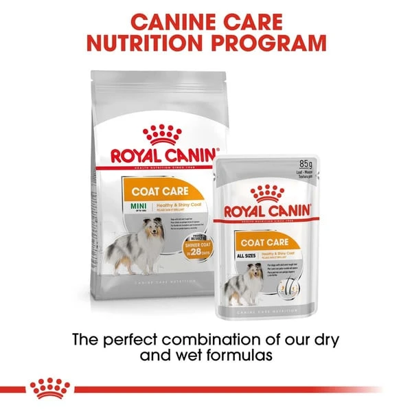 ROYAL CANIN COAT CARE MINI Trockenfutter für kleine Hunde für glänzendes Fell