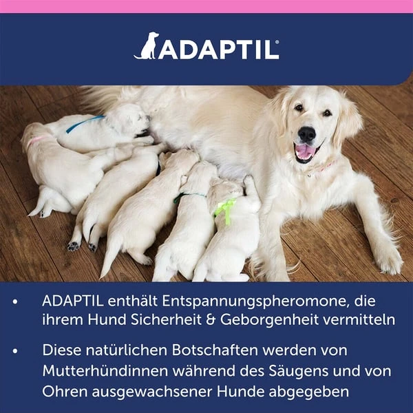 Adaptil Junior Halsband