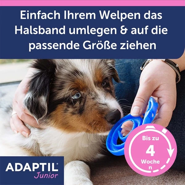 Adaptil Junior Halsband