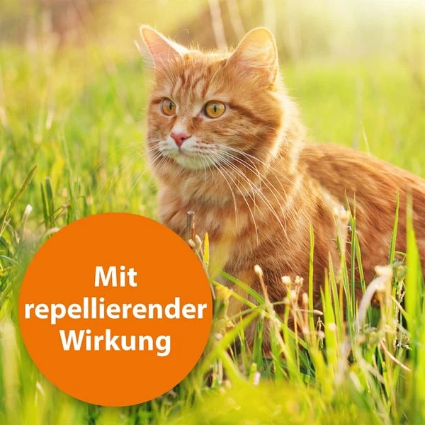 ARDAP Spot-On fĂŒr Katzen