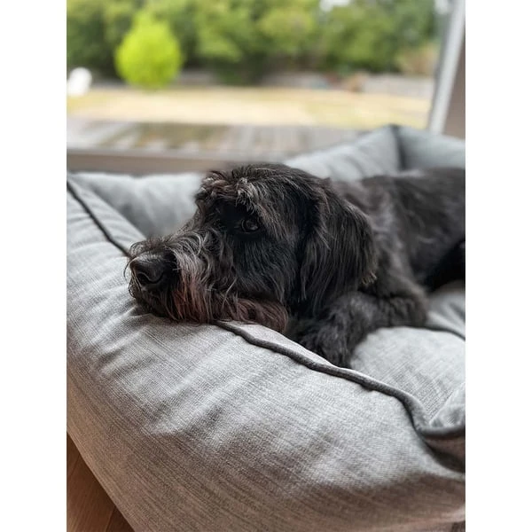 Aumüller Hundebett Sofa Ortho Line 117 cm