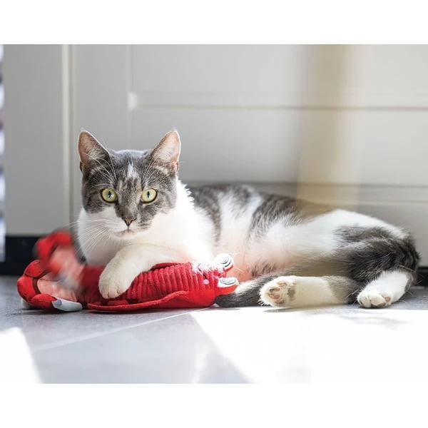 Beeztees Bewegender Hummer