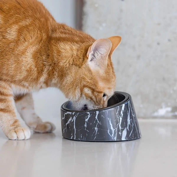 Designed by Lotte Melamin Katzennapf Vita