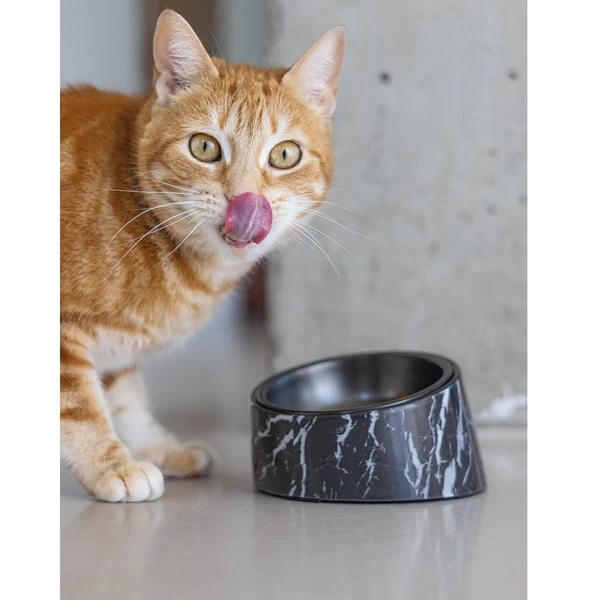 Designed by Lotte Melamin Katzennapf Vita