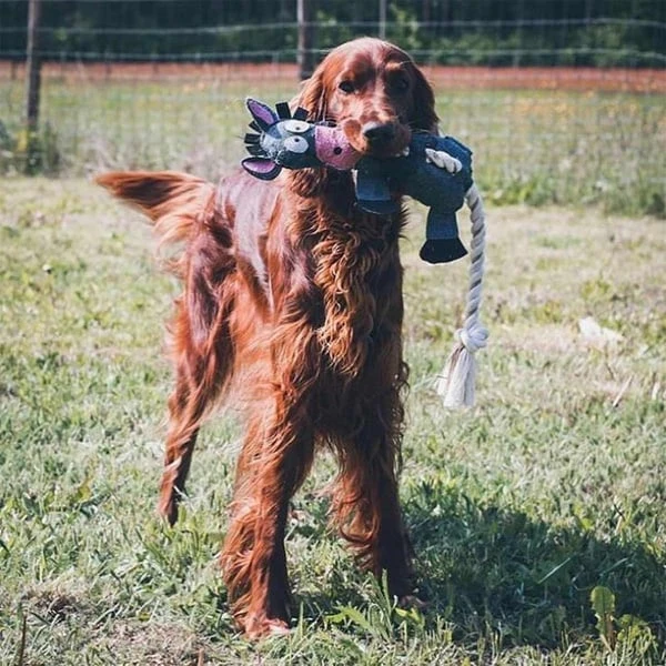 DUVO+ Farm Friends Donald Donkey 49cm