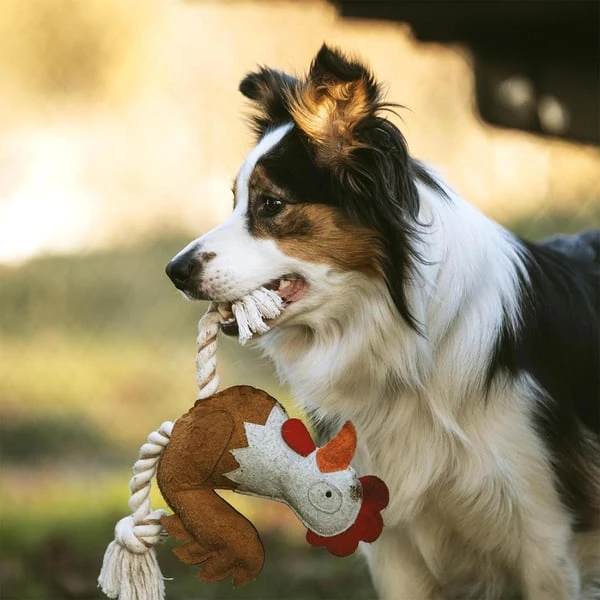 DUVO+ Farm Friends Ruby Rooster 37cm