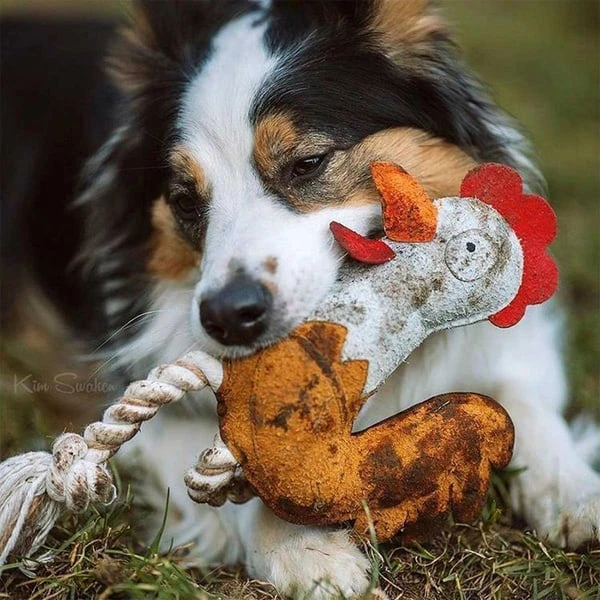 DUVO+ Farm Friends Ruby Rooster 37cm