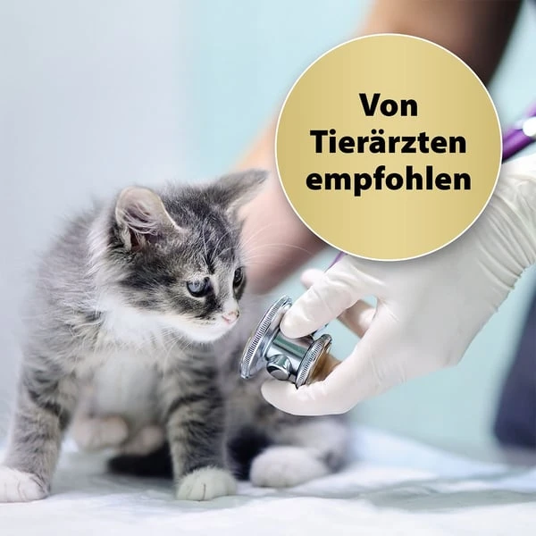 Felisept Home Comfort Raumdiffuser Set fĂŒr Katzen 45ml