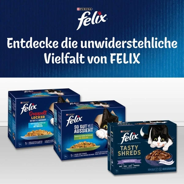 FELIX So gut wie es aussieht in Gelee mit Lachs
