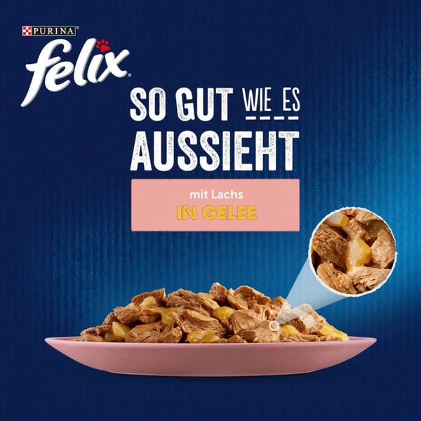 FELIX So gut wie es aussieht in Gelee mit Lachs