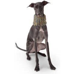 GF Pet Scout Schlauchschal Navy