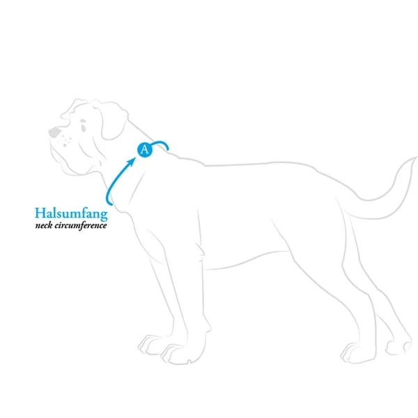 Hunter Halsung Divo hellblau