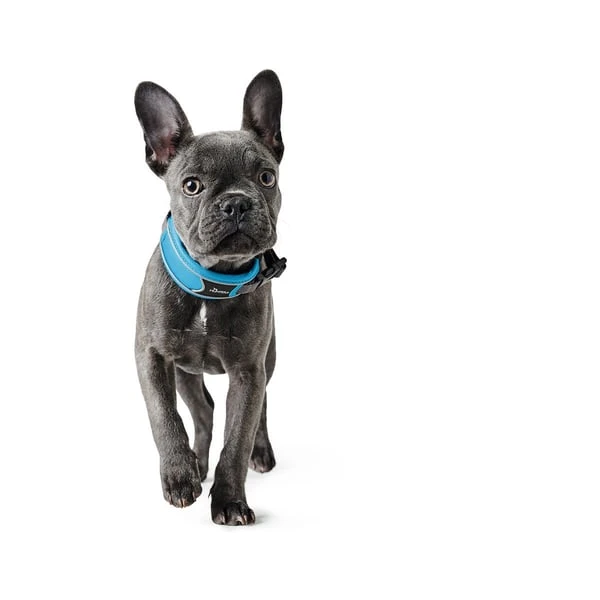 Hunter Halsung Divo grau