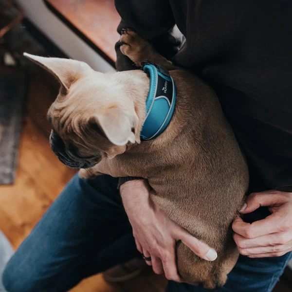 Hunter Halsung Divo rot