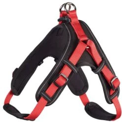 Hunter Neopren Geschirr Rot/schwarz