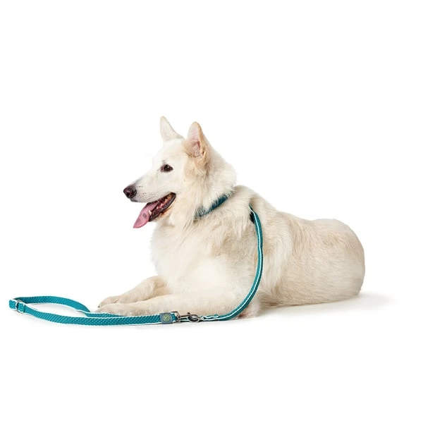 Hunter Verstellbare Führleine Hilo anthrazit