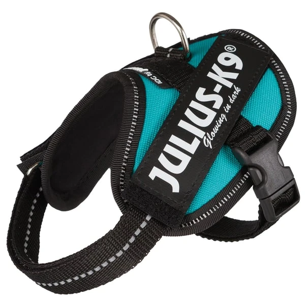 Julius-K9 IDC Geschirr petrol Baby 2, Brustumfang 33-45cm | Rückläufer