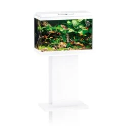 Juwel Aquarium Primo 70 Weiß