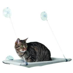 Karlie Katzen HĂ€ngematte FĂŒr Fenster