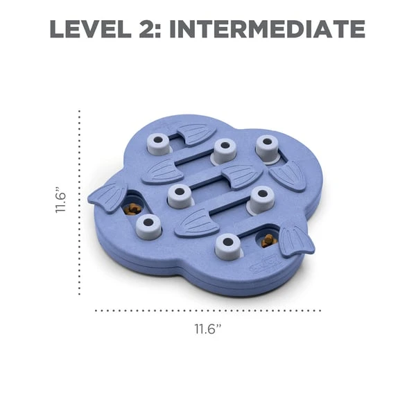 Dog Hide n' Slide - Composite Intelligenzspielzeug