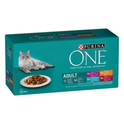 PURINA ONE Adult In Sauce Sorten-Mix 40x85g