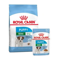 ROYAL CANIN Mini Puppy 2kg + Mini Puppy In SoĂe 12x85g