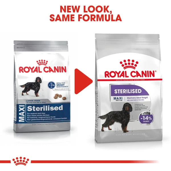 ROYAL CANIN STERILISED MAXI Trockenfutter für kastrierte große Hunde
