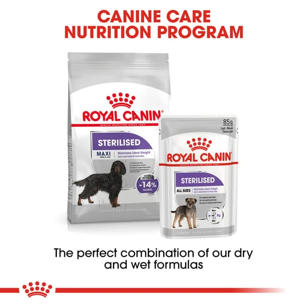 ROYAL CANIN STERILISED MAXI Trockenfutter für kastrierte große Hunde