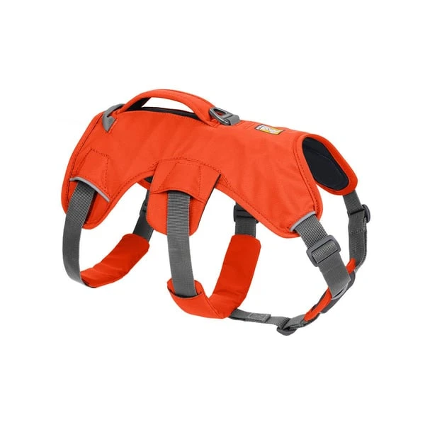 Ruffwear Geschirr Web Master Blaze Orange