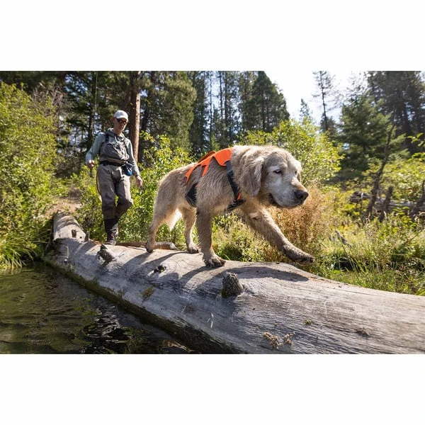 Ruffwear Geschirr Web Master Blaze Orange