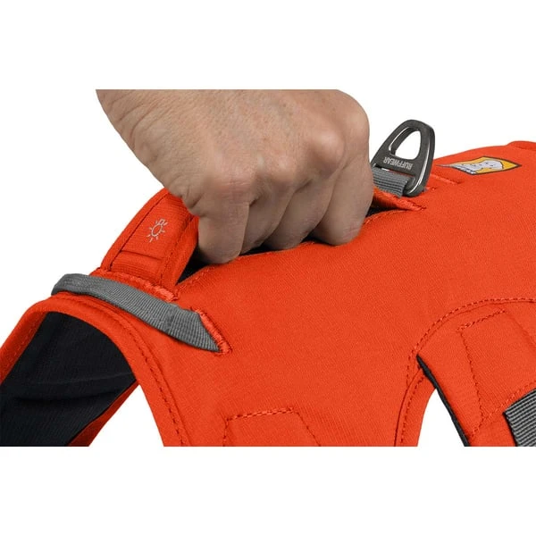 Ruffwear Geschirr Web Master Blaze Orange