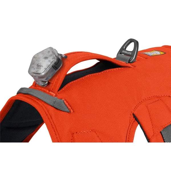 Ruffwear Geschirr Web Master Blaze Orange