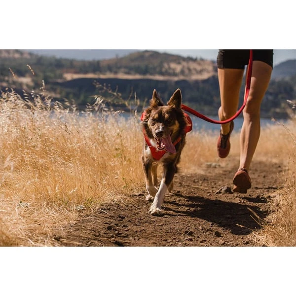 Ruffwear Switchbak Leine Red Sumac