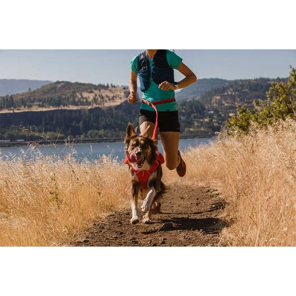 Ruffwear Switchbak Leine Red Sumac