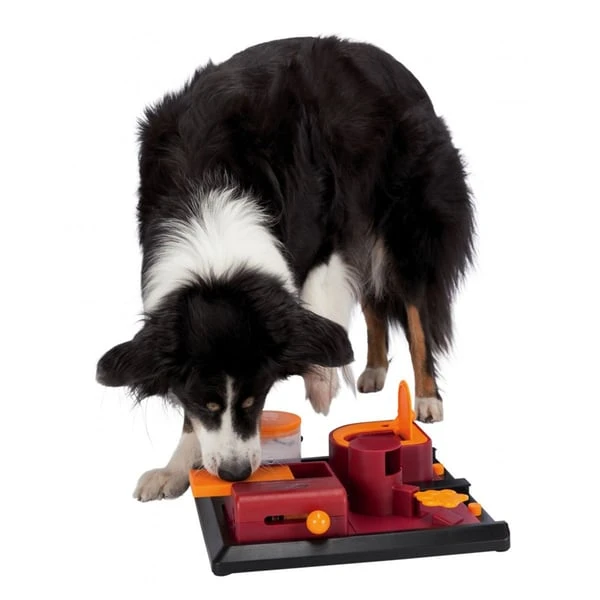 Trixie Dog Activity Strategiespiel Poker Box 2