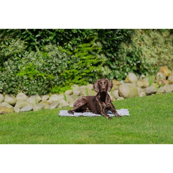 Trixie Kühlmatte Soft XL 90x60cm