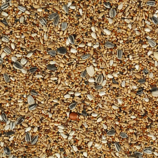 Versele Laga Vogelfutter GroĂźsittiche