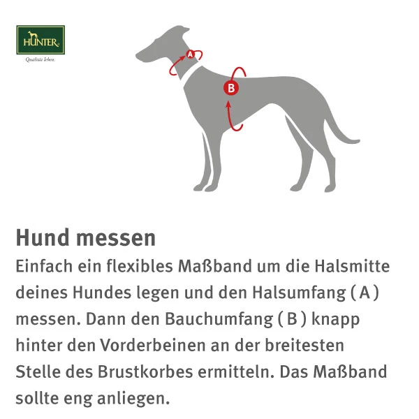 Hunter Norwegergeschirr Racing, petrol/schwarz