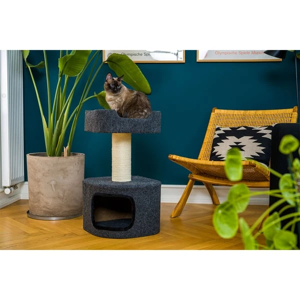 ZooRoyal Kratzbaum Alva 75cm Filz anthrazit